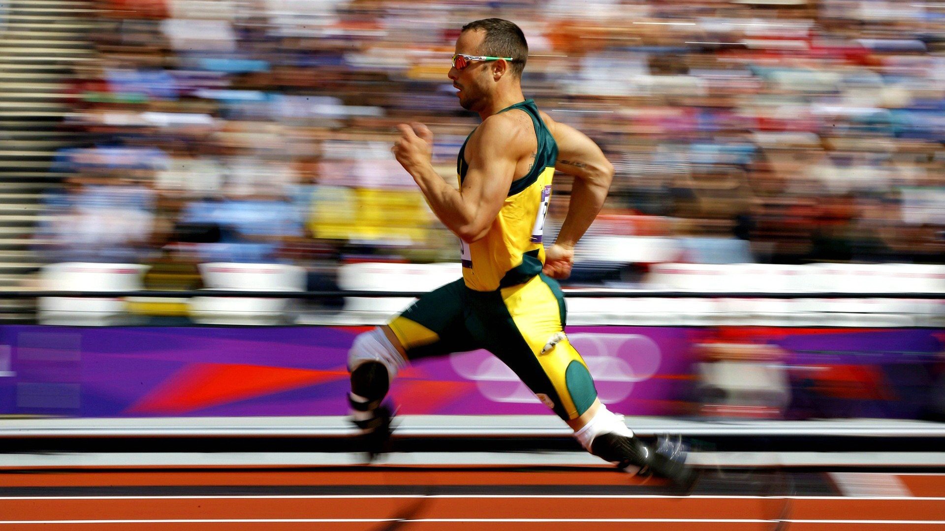 许昕刷新纪录引领波兰队完胜韩国队，乒乓球赛场见证历史性突破